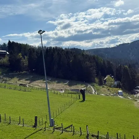 Jagdschloesschen 3* Willingen (Upland)