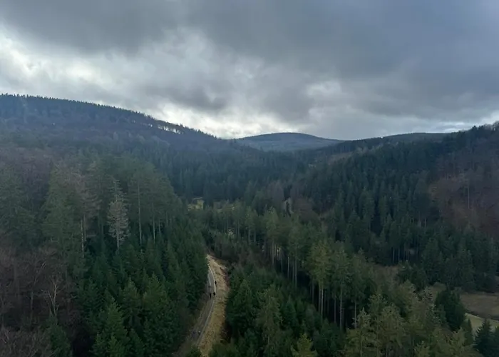 Jagdschloesschen Couette-café 3*