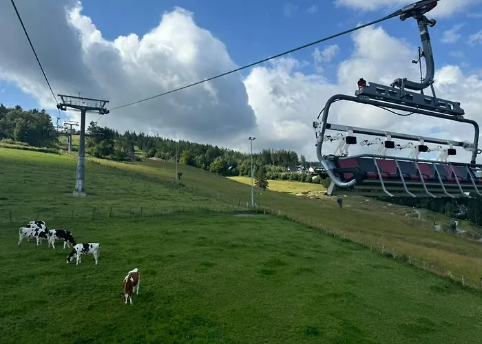 Jagdschloesschen 3* Willingen (Upland)