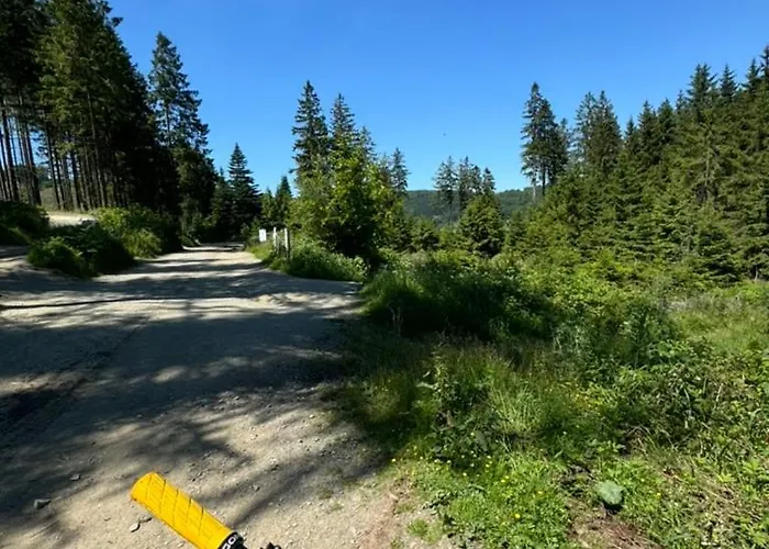 Jagdschloesschen 빌링겐